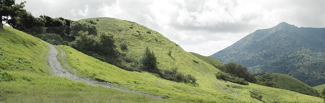 Bald Hill Preserve