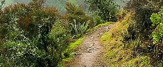 Baltimore Canyon Preserve