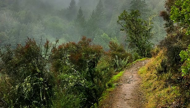 Baltimore Canyon fog