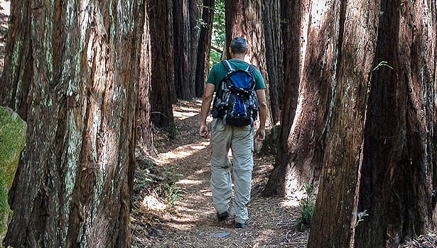 Man hiking in Baltimore Canyon