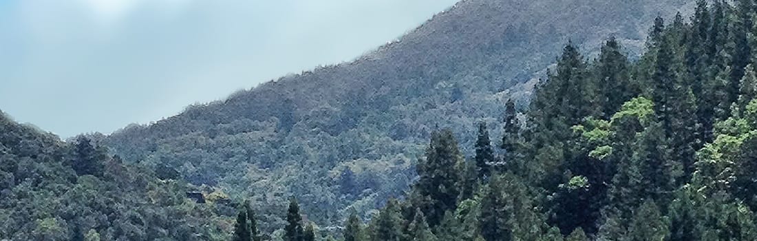 Baltimore Canyon Preserve