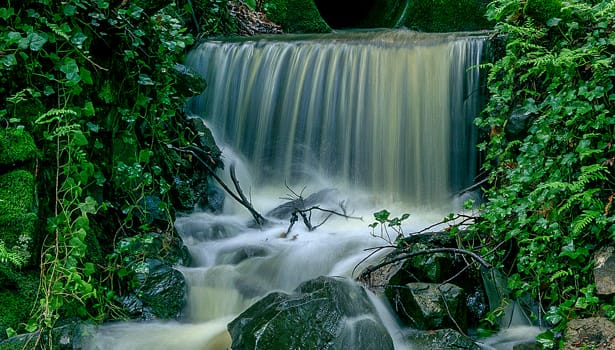 Winter waterfall