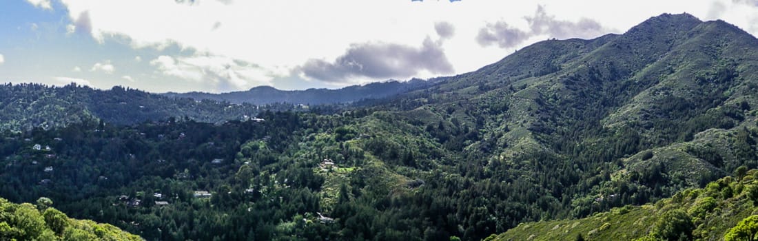Blithedale Summit Preserve