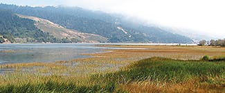 Bolinas Lagoon Preserve