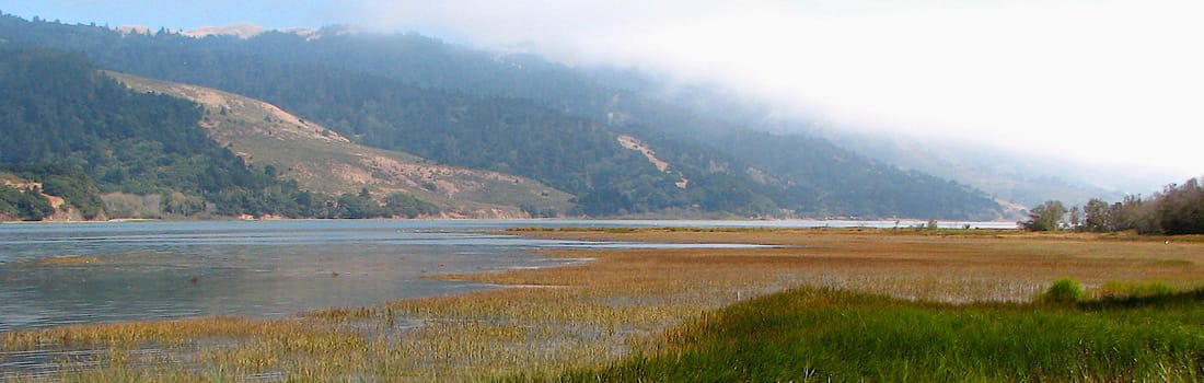 Bolinas Lagoon Preserve