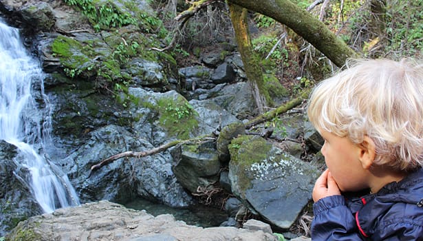 Child looking at the waterfall