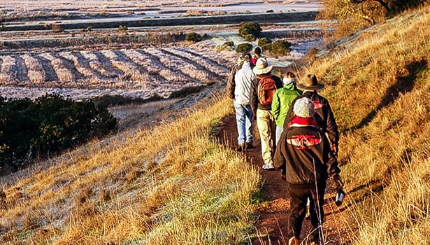 Group hiking the loop