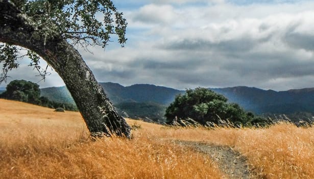 Cloudy skies over dry summer grass