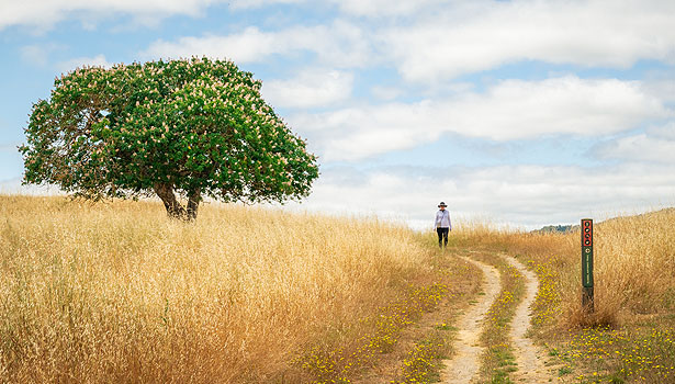 Woman walking on Deer Island Trail