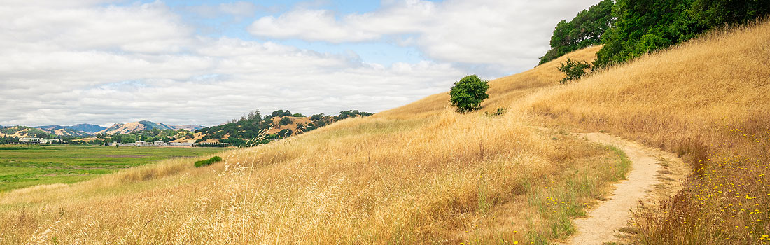 Hiking trail curving up a hill at Deer Island Preserve