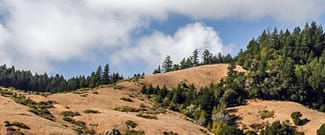 French Ranch Preserve