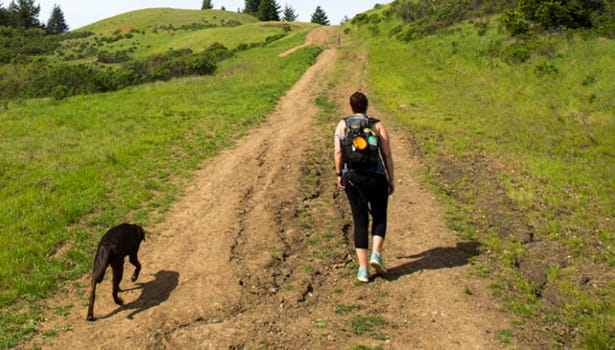 Hiker and dog on fire road