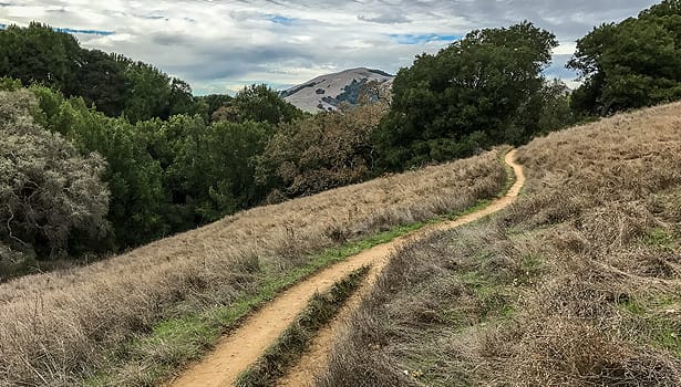 Trail ascending  up the hill