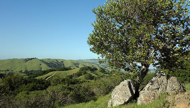 Scenic overlook