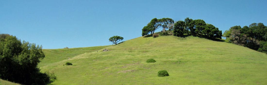 Little Mountain Preserve