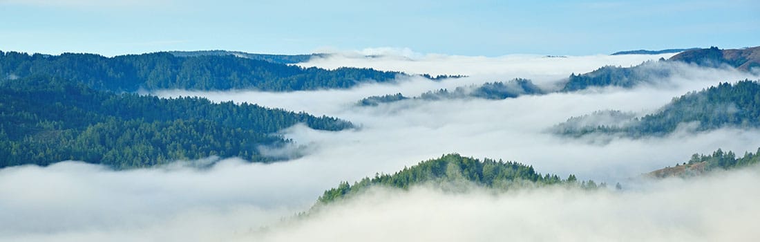 Loma Alta Preserve