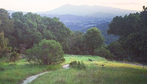 Trail through the hills