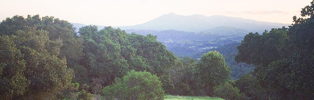 Loma Verde Preserve