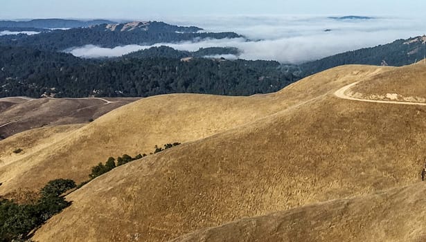 Morning mist over golden summer hills