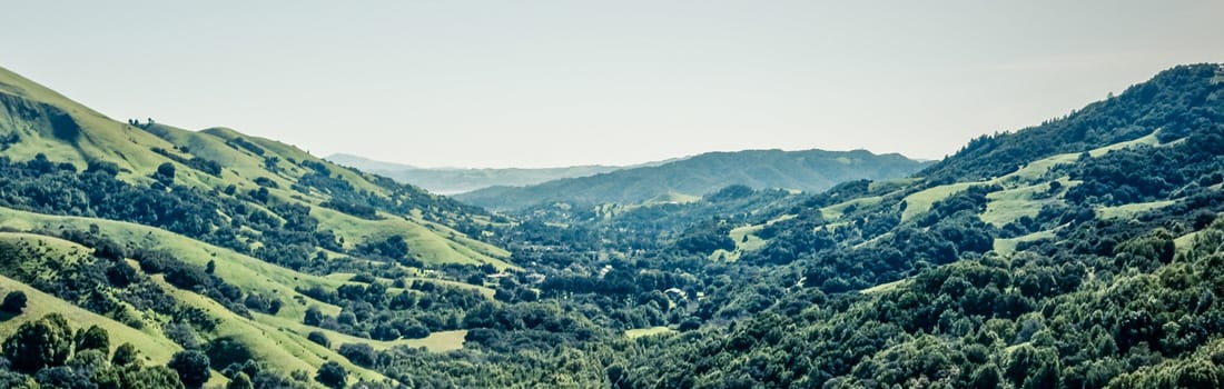 Lucas Valley Preserve