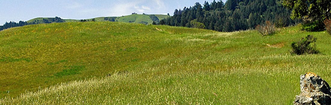 Maurice Thorner Memorial Preserve