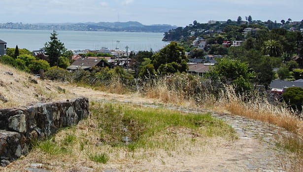 Trail in summer