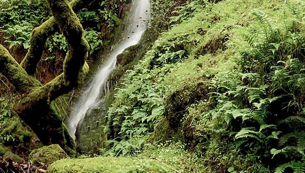 Rainy season waterfall