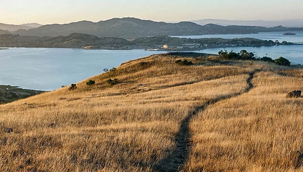 Trail overlooking the Bay