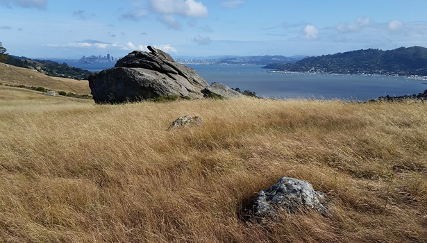 Turtle Rock at Ring Mountain