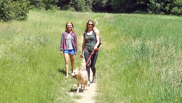 Girls in summer walking a dog on leash