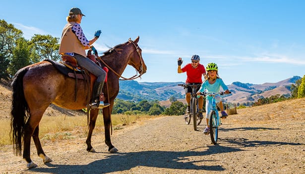 Horse and bikers passing safely on the trail