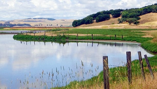 View of the marsh along the trail