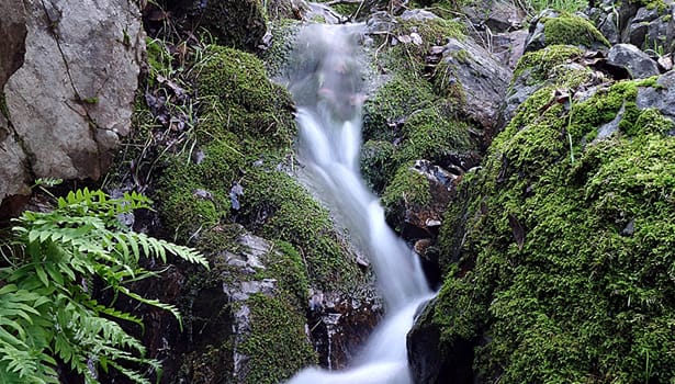 Rainy season waterfall