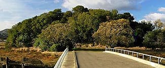 Santa Margarita Island Preserve