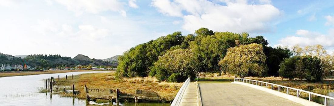 Santa Margarita Island bridge