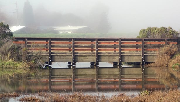 Trail bridge in the fog