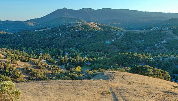 Scenic view from the top