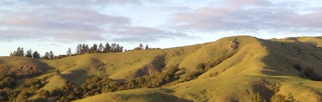 View of White Hill against summer sky