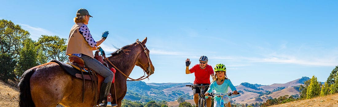 Horse rider and cyclists safely passing on the trail