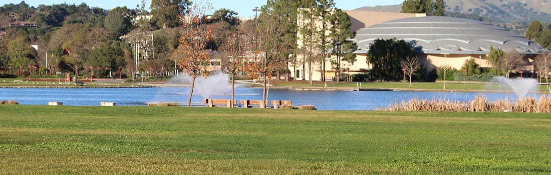 Civic Center lawn