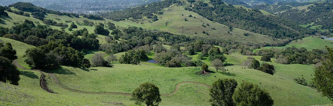 Aerial view of Eagle Rim Trail