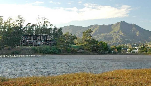 View from the shore of Bothin Marsh