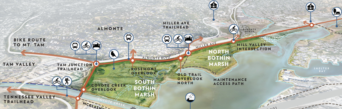 Artist illustration of multiuse pathway going through Bothin Marsh