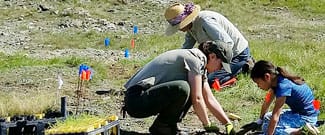 Parks staff and volunteers installing rare plants at Ring Mountain