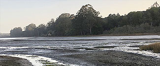 north end of Bolinas Lagoon