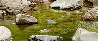 Running creek in Cascade Canyon