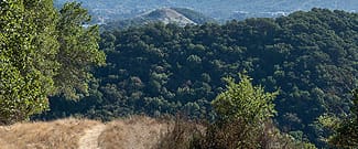 Scenic view from Ponti Ridge