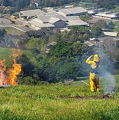 Firefighters burning brush piles