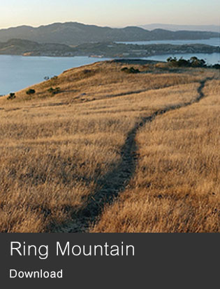 Download Ring Mountain background image