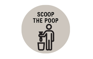 Scoop the poop icon